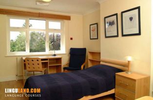 Shared apartment, double room